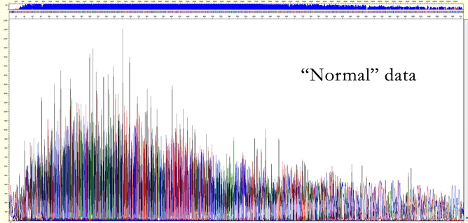 ABI 3730 chromatogram showing restored 1000 bp read lengths and 280-300 KB file sizes after a 60°C wash and installation of a new polymer lot.
