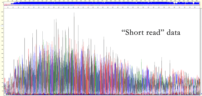 ABI 3730 chromatogram showing a 10% reduction in file size from ~280 KB to ~250 KB and truncated peaks due to polymer degradation.