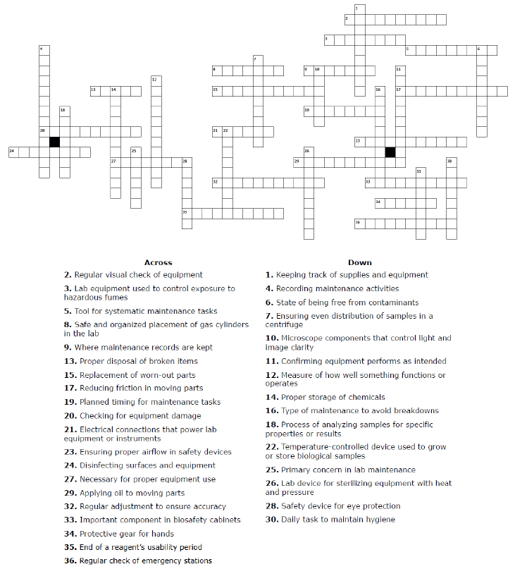 sg-crossword-feb-2025